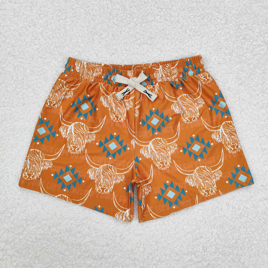 Baby Boy Toddler Western Cow Aztec Swim Trunks Shorts