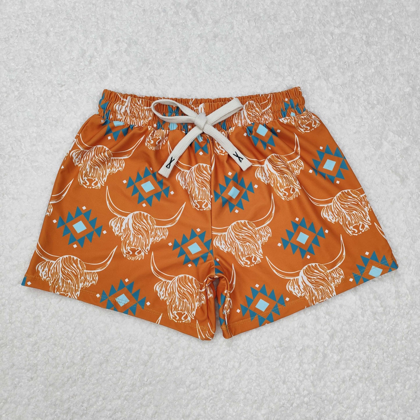 Baby Boy Summer Western Cactus Cows Trunks Sibling Swimsuit RTS