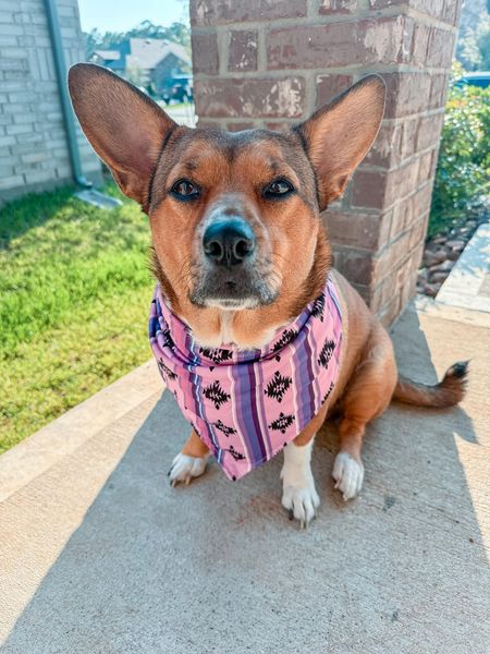 Customizable Dog Aztec Bandage Scarf