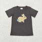 Baby Boy Girl Short Sleeves Easter Rabbit Carrot Cotton Embroidery Sibling Shirt