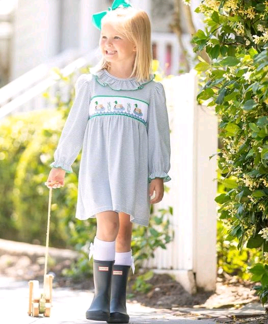 Preorder Baby Girl Long Sleeves Blue Stripes Ducks Hunting Knee Length Dress