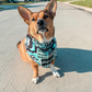 Customizable Dog Western Howdy Bandage Scarf