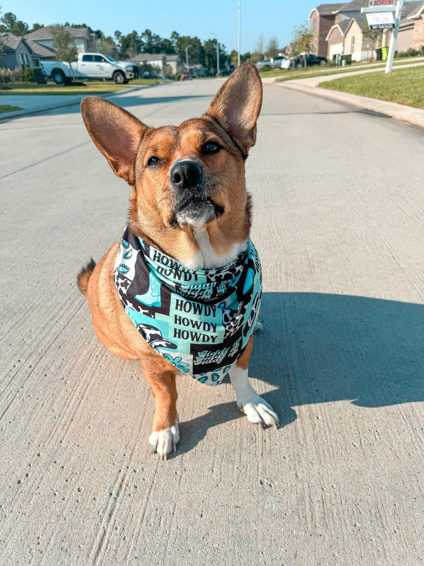 Customizable Dog Western Howdy Bandage Scarf